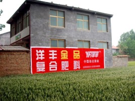 彭州如何让墙体广告展现最大化效果