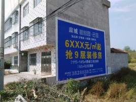 彭州墙体广告质量分析