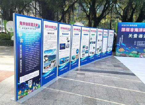 彭州KT板的种类和知识。